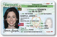 Templates driver license 50 states